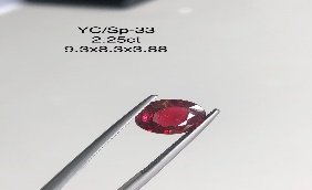 YC/SP33