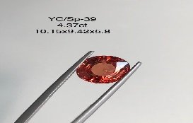 YC/SP39