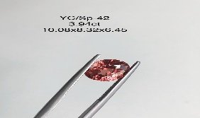 YC/SP42
