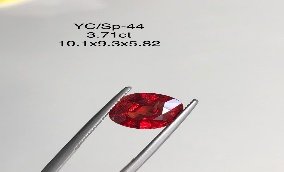 YC/SP44