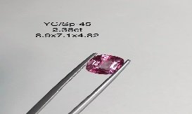 YC/SP45