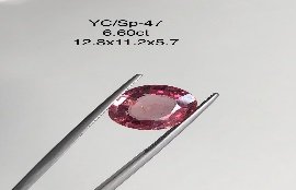 YC/SP47