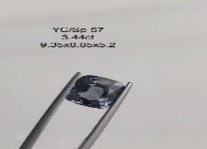 YC/SP57