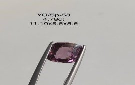 YC/SP58