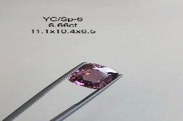 YC/SP6