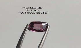 YC/SP60