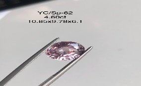 YC/SP62