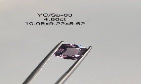 YC/SP63