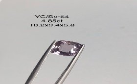 YC/SP64