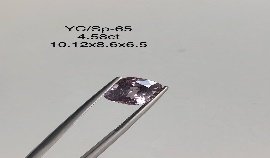 YC/SP65