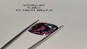 YC/SP67