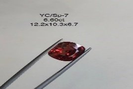 YC/SP7