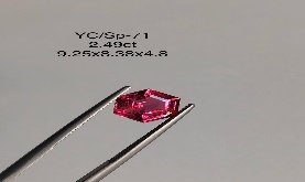 YC/SP71