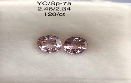 YC/SP75