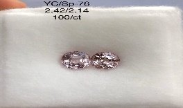 YC/SP76