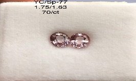 YC/SP77