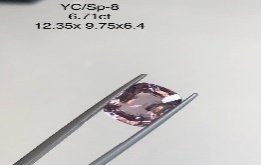 YC/SP8