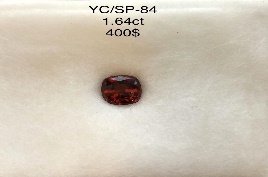 YC/SP84