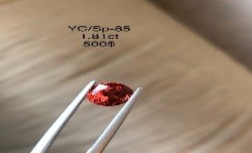 YC/SP85