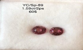 YC/SP89