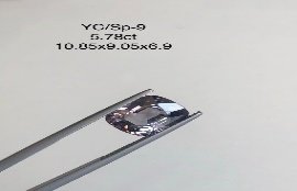 YC/SP9