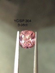 YC/SP 304