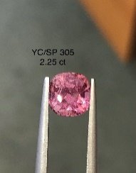 YC/SP 305