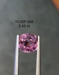 YC/SP 306