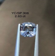 YC/SP 308