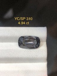 YC/SP 310