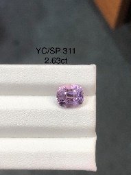 YC/SP 311