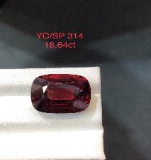 YC/SP 314