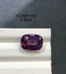 YC/SP 315