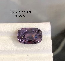 YC/SP 316