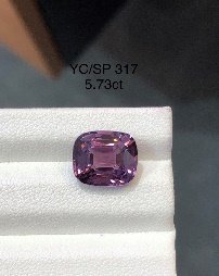 YC/SP 317