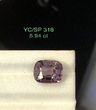 YC/SP 318