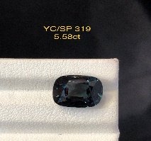 YC/SP 319