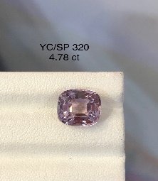 YC/SP 320