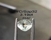 YC/Sap32