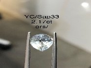 YC/Sap33