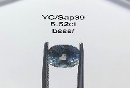 YC/Sap39