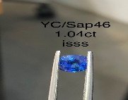 YC/Sap46