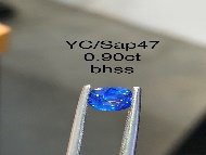 YC/Sap47