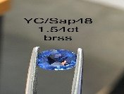 YC/Sap48