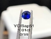 YC/Sap51