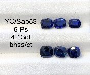 YC/Sap53