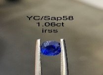YC/Sap58