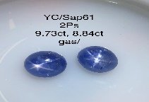 YC/Sap61