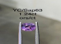 YC/Sap63