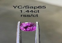 YC/Sap65